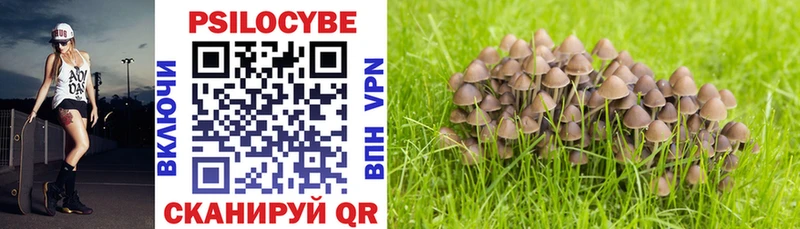Псилоцибиновые грибы мухоморы Кондрово